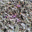 Tisane d'été Vitalité