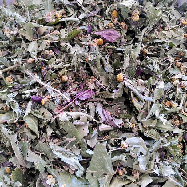 Tisane d'été Vitalité