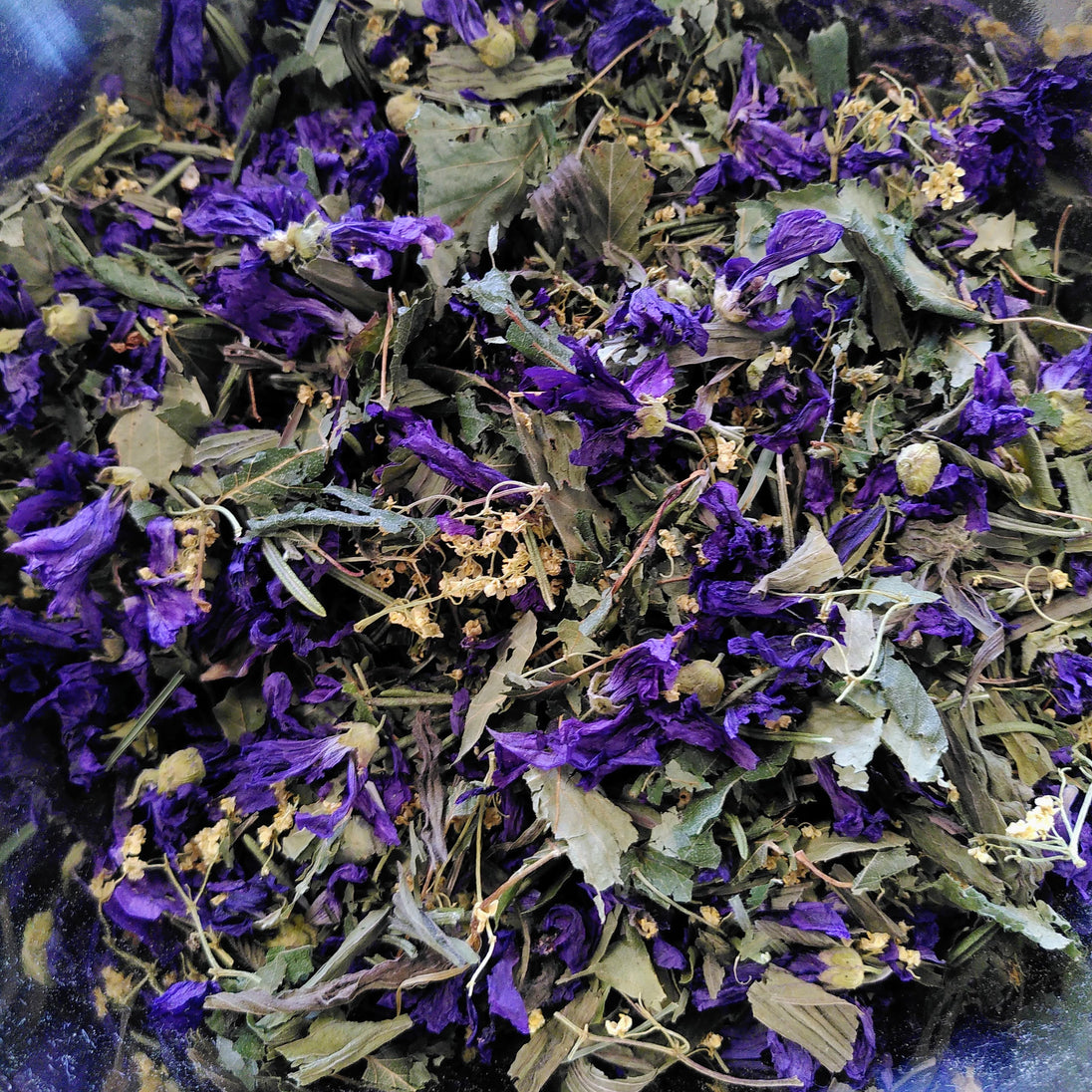 Tisane de printemps Eclosion