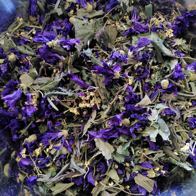 Tisane de printemps Eclosion