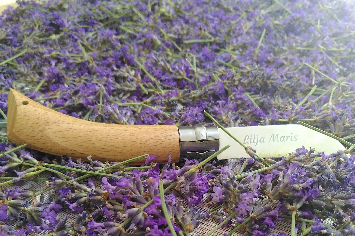 Couteau de récolte Lilja Maris sur lit de lavande fraîchement cueillie.
