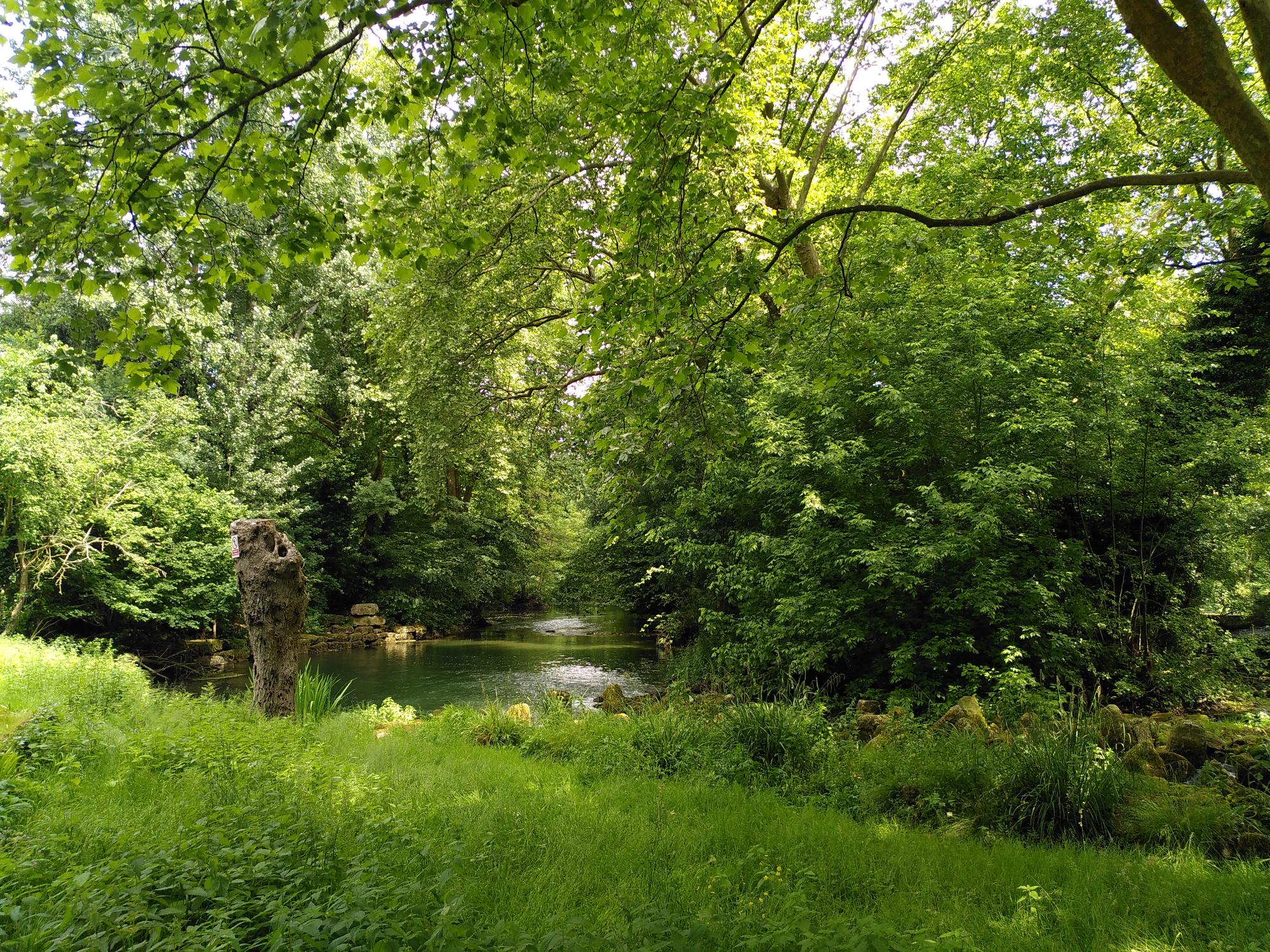 Rivière Marais poitevin