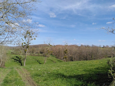 Paysage de Xaintray en Gâtine poitevine, territoire de cueillette Lilja maris.