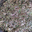 tisane d’hiver soutien mélange de plantes séchées en vrac Lilja Maris